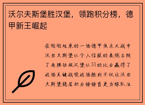 沃尔夫斯堡胜汉堡，领跑积分榜，德甲新王崛起